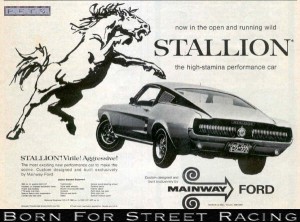 1967stallion