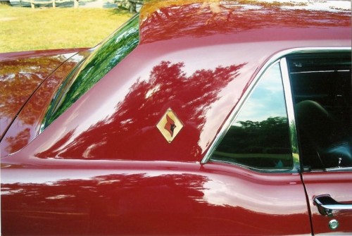 Cardinal-Edition-Mustang