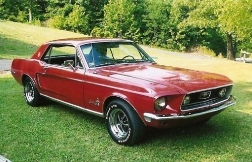 Cardinal-Edition-Mustang3